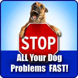 Dog Training (Click Bank) - Banner