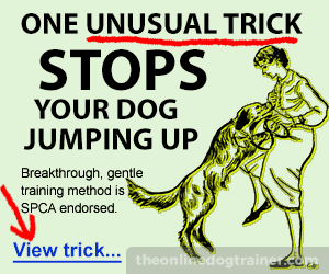 Unusual Trick, dog training